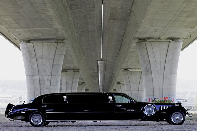 1 hour ride in vintage limousine - Inside the limo: champagne mood, comfort, and photo timing