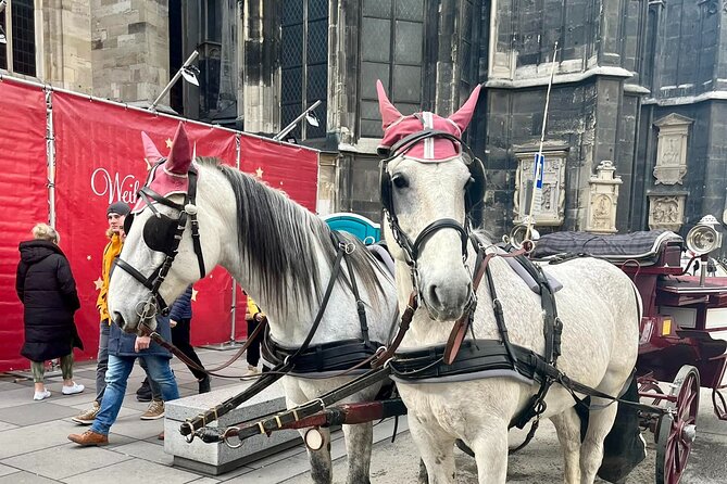 2-Day Vienna Tour From Prague With Private Transfers and Guide - Graben, Kohlmarkt, Rathaus, and Burggarten: Vienna with your feet still on the ground