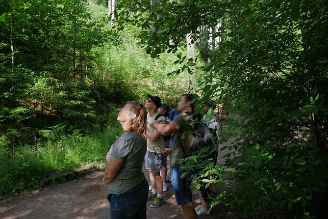 3 in 1 Tour Brewery & Castle in Bohemian Paradise Unesco Geopark - A Full Day With a Clear Rhythm: Nature, Castles, Beer