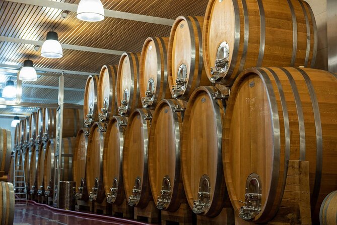 A delightful wine tasting in the scenic countryside with lunch - Getting out of Prague: the hotel pickup that actually makes it easy