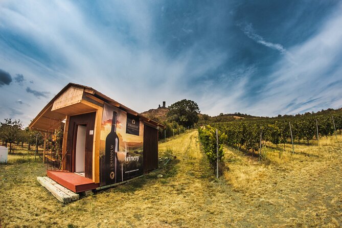 A delightful wine tasting in the scenic countryside with lunch - Lunch at the winery restaurant: why it’s more than a break