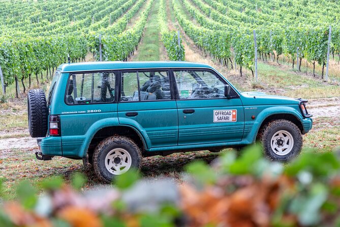 A delightful wine tasting in the scenic countryside with lunch - Small-group touring: personalized attention with room to ask questions