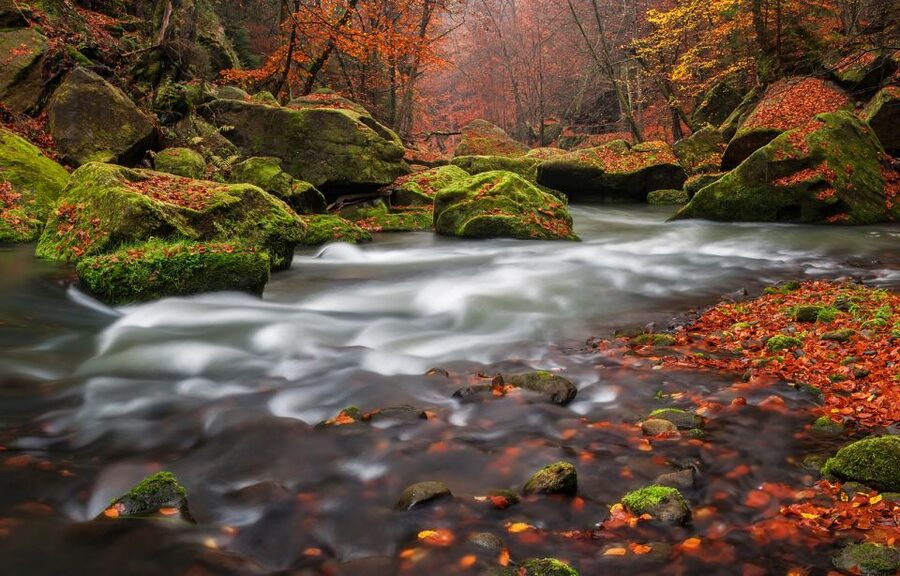 Bohemian Switzerland: Private Day Trip from Prague - Hřensko: a scenic historic stop plus a practical lunch break