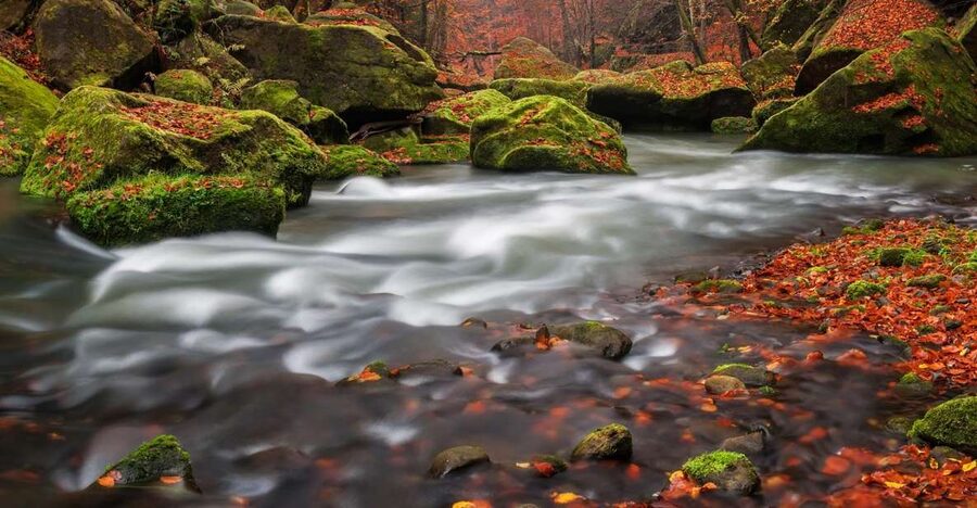 Bohemian Switzerland: Private Day Trip from Prague - The river cruise: a calm ending, with seasonal limits
