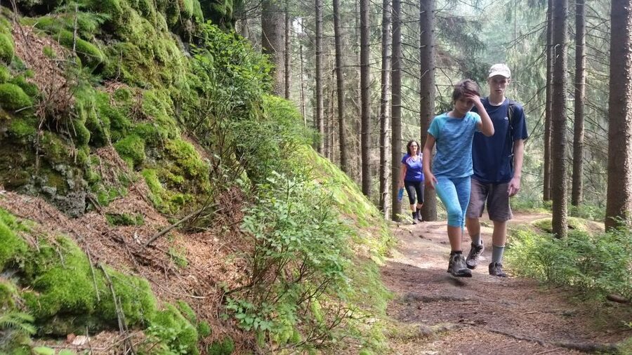 Bohemian Switzerland: Private Day Trip from Prague - Getting from Prague to Ústí nad Labem area with comfort and minimal friction