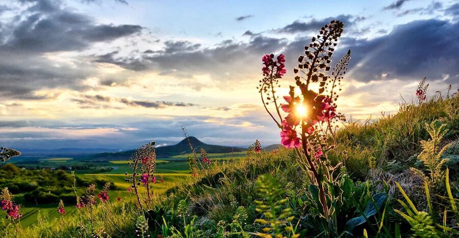 Bohemian Uplands: Garnet panning, Farm & Local Lunch&Beer - The Lunch Stop: Czech Food, Castle Views, and Unlimited Beer