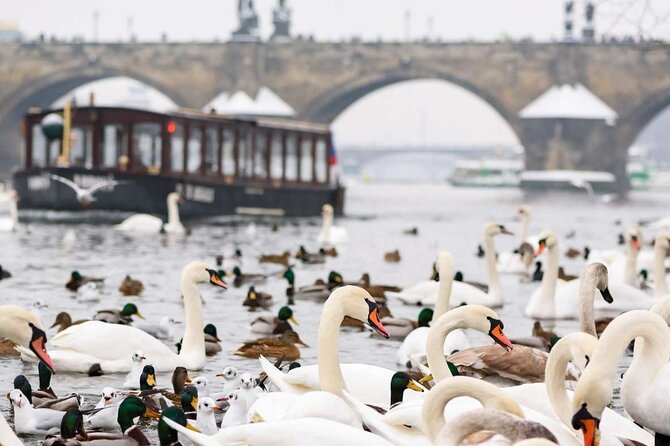 Charles Bridge: River Boat Cruise & Guided Tour ️with PragueWay - Devil’s Channel from Below: the “river magic” part