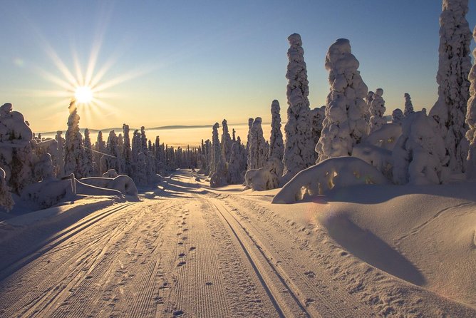 Cross-Country Skiing Guided Tour From Prague - Pickup at 7:30 am, free wifi, and getting the day moving