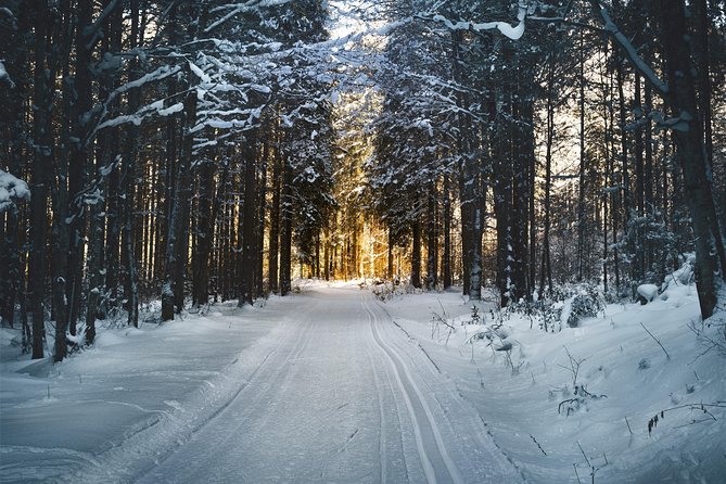 Cross-Country Skiing Guided Tour From Prague - Five hours of skiing in the Jizera Mountains