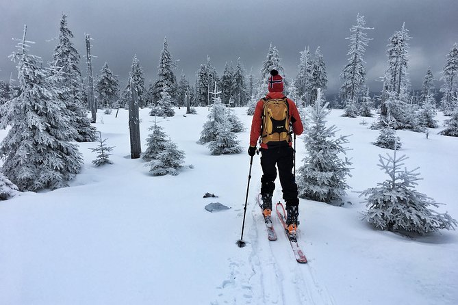 Cross-Country Skiing Guided Tour From Prague - Forest trails, lake crossings, and what “groomed” means in practice