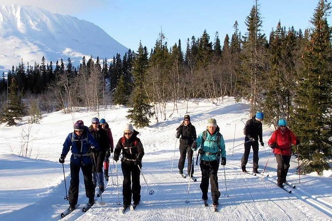 Cross-Country Skiing Guided Tour From Prague - Who this tour fits best (and who might feel out of place)