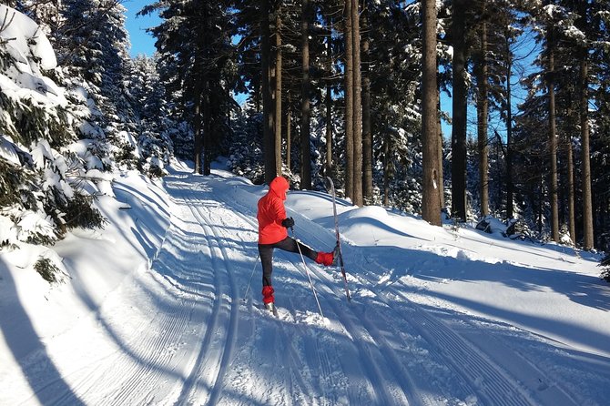 Cross-Country Skiing Guided Tour From Prague - Getting your skis and safety brief before you hit the snow