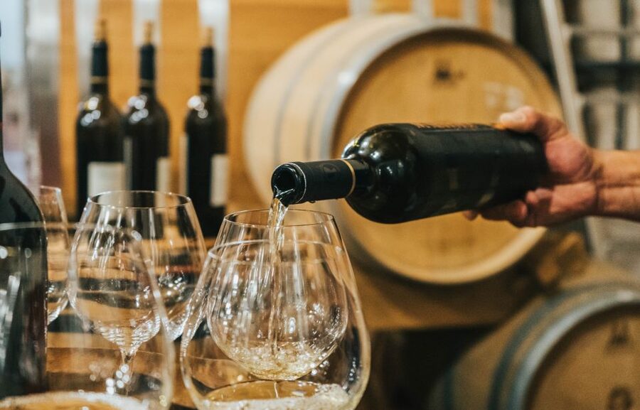 Czech Vineyards and Wine Tasting 4WD Tour with Lunch - Who should book this 4x4 wine and castle day