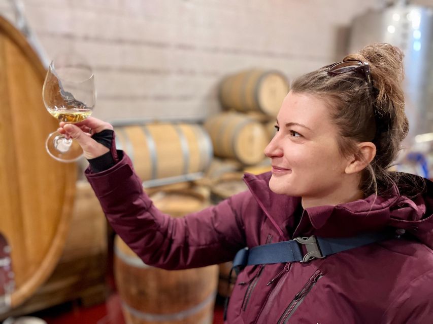 Czech Vineyards and Wine Tasting 4WD Tour with Lunch - Why the Central Bohemian Uplands make this wine day feel real