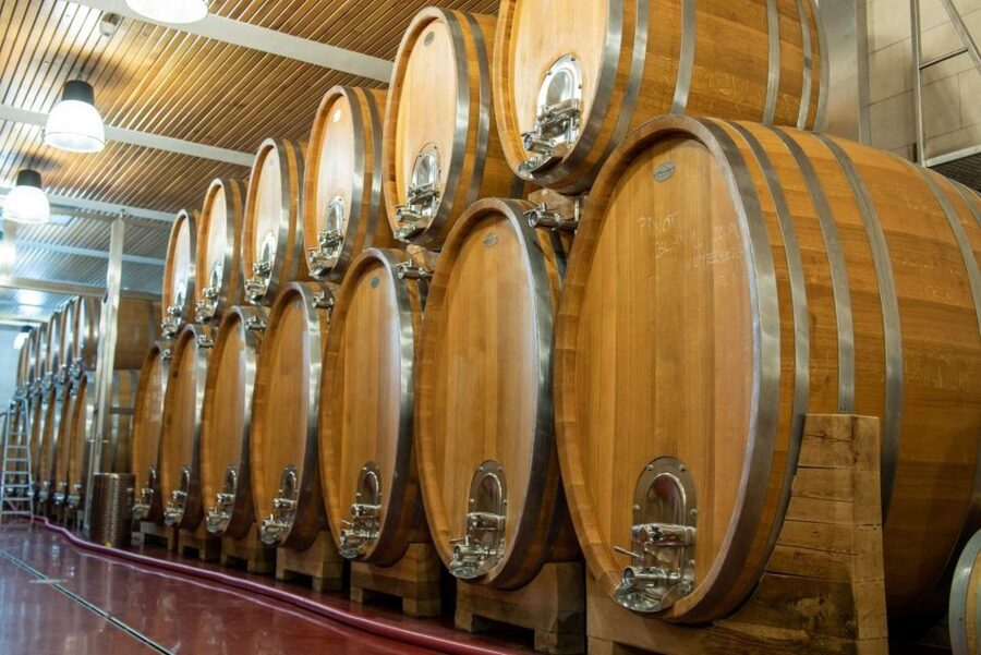 Czech Vineyards and Wine Tasting 4WD Tour with Lunch - Moving between vineyards without the stress of planning