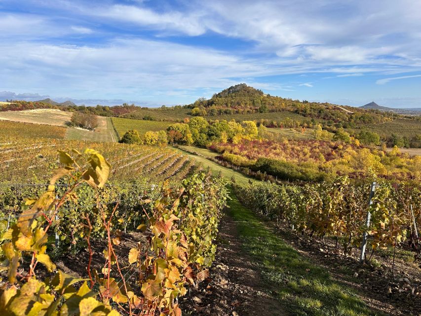Czech Vineyards and Wine Tasting 4WD Tour with Lunch - The guided history stops: castles and the Jewish cemetery