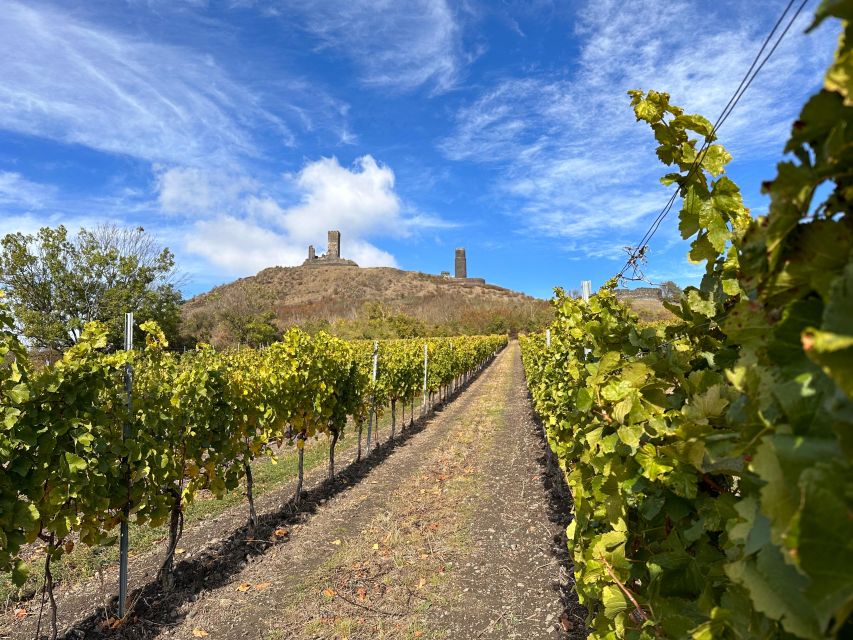 Czech Vineyards and Wine Tasting 4WD Tour with Lunch - What I like about the guides, and why it matters for your day