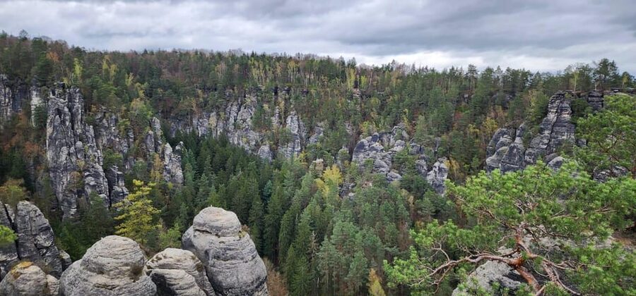Day trip from Prague to Bohemian and Saxon Switzerland - Price and Value: What You Get for $169