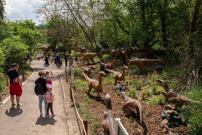 Dinosaurus amusement park - best dino experience in Prague - Kids Play Zones: More Than a Waiting Room for Parents