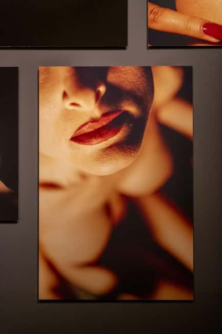 Exhibition David Lynch: Up in Flames - Who should book this, and who might want to adjust expectations