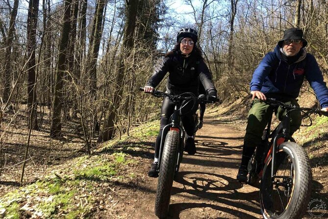 FAT TIRE E-BIKE GREAT TOUR - river, parks & panoramic views tour - Queen Anne’s Summer Palace and Prague Castle without the sweat tax