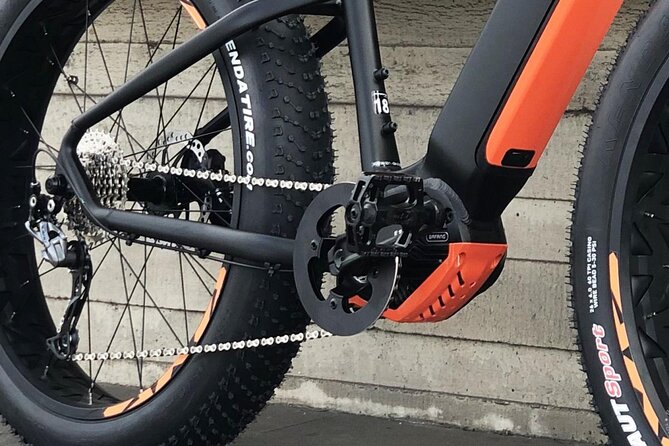 FAT TIRE E-BIKE GREAT TOUR - river, parks & panoramic views tour - Charles Bridge and the Kafka Museum fountain stop for quick culture hits