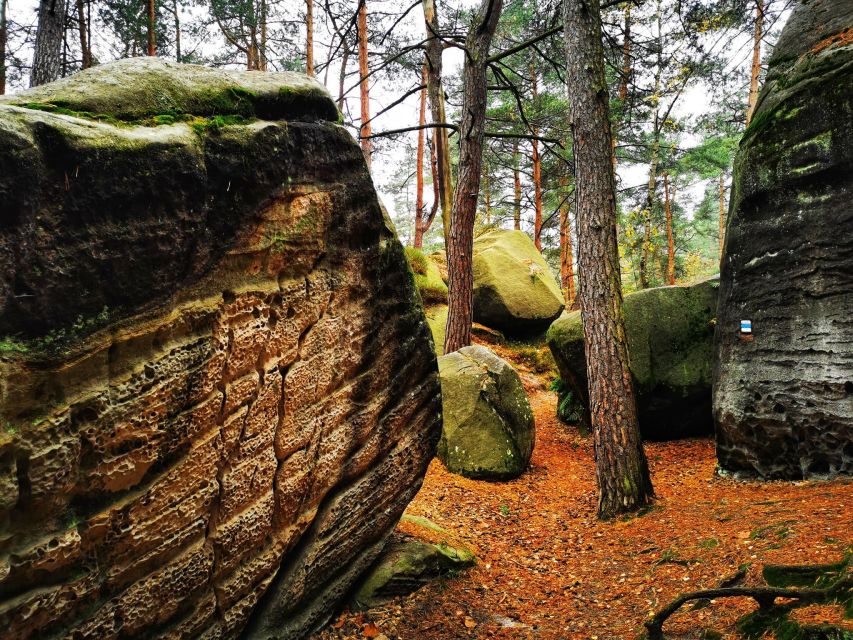 From Prague: Bohemian Paradise - Full-Day Hiking Trip - Zbirohy Castle ruins: first hike, first payoff
