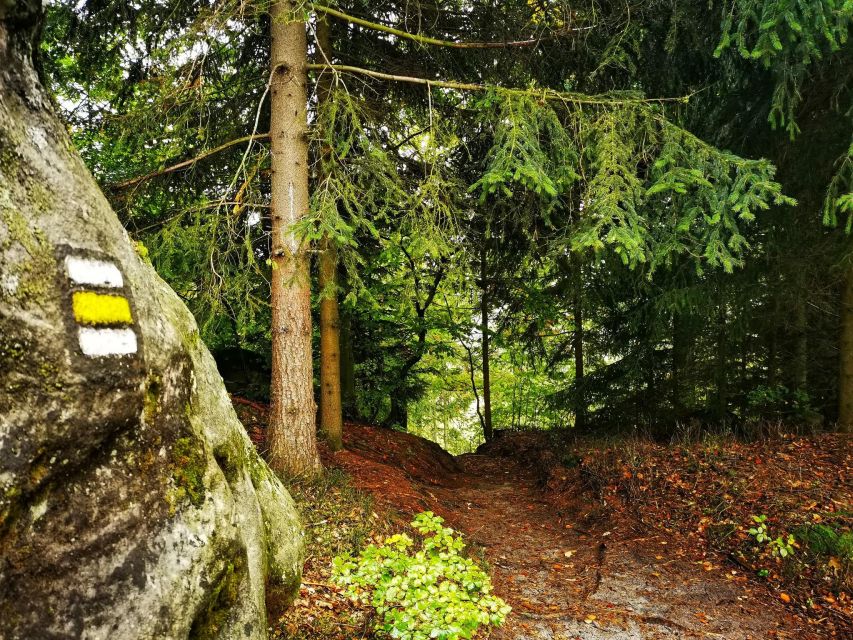 From Prague: Bohemian Paradise - Full-Day Hiking Trip - Falcon Heights and Suché skály: short hikes, fast viewpoint rewards