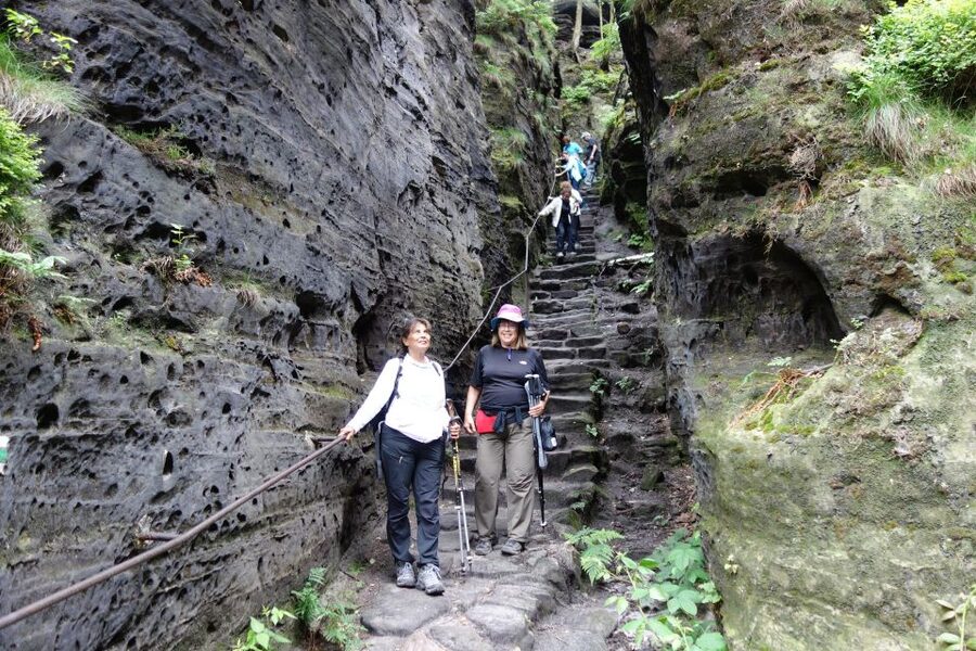 From Prague: Bohemian & Saxon Switzerland All-Inclusive Tour - Small-Group Comfort and the Guide Factor That Makes It Worth It