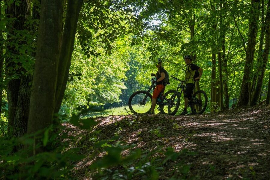 From Prague: E-Mountain Biking Trip to the Bohemian Paradise - Nebakov lunch and the fast, fun downhill