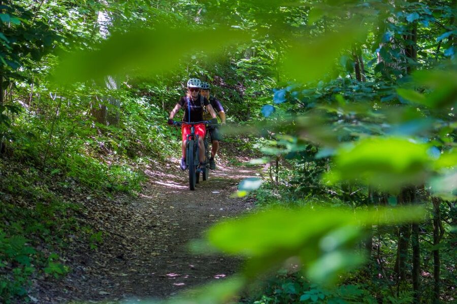 From Prague: E-Mountain Biking Trip to the Bohemian Paradise - Hruboskalsko Rock Town ridgeline: the main event