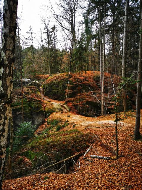 From Prague: Full-Day Bohemian Paradise Guided Hiking Trip - From Prague to Český ráj: Why This Day Works So Well