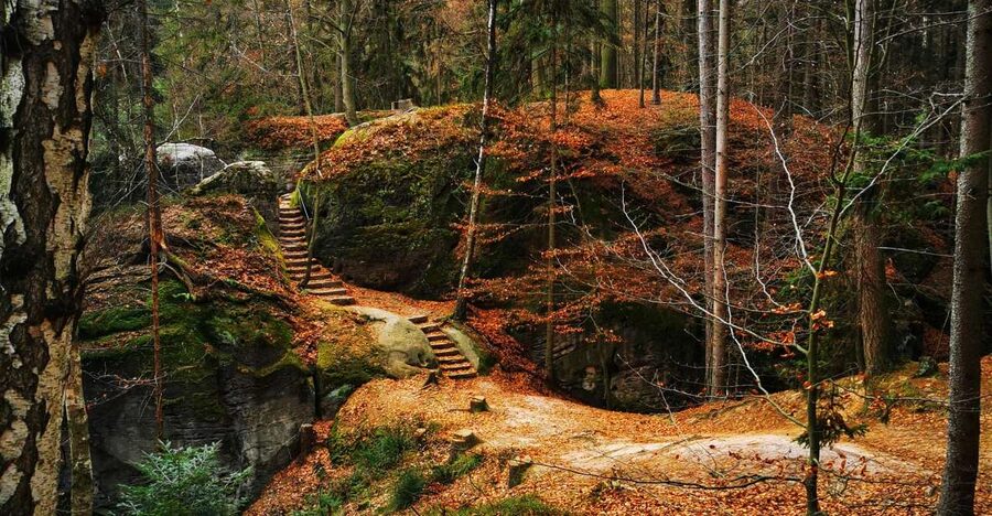 From Prague: Full-Day Bohemian Paradise Guided Hiking Trip - Mary’s Rock Viewpoint: Pay Attention to Timing
