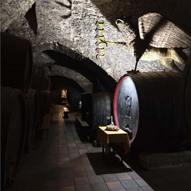 From Prague to the Vineyards: Wine & Gastronomy Tour - Price and Value: What You Get for $223