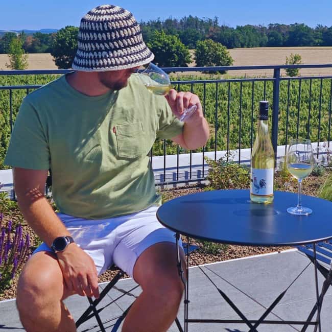 From Prague to the Vineyards: Wine & Gastronomy Tour - Mělník Wine Town: Beer, Guided Touring, and a 13th-Century Cellar