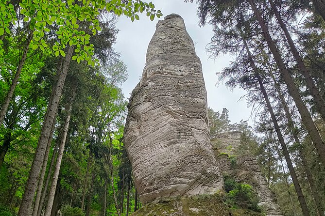 Full Day Bohemian Paradise Hiking Tour - The walking reality: steps, wet leaves, and why shoes matter