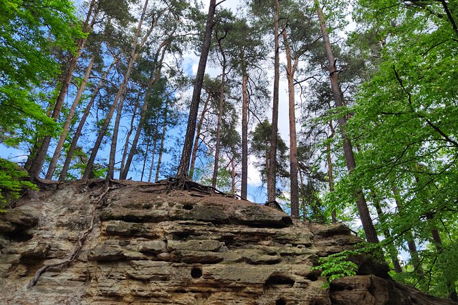 Full Day Bohemian Paradise Hiking Tour - Hrubá Skála Castle: free admission, real-time views, and a hotel vibe