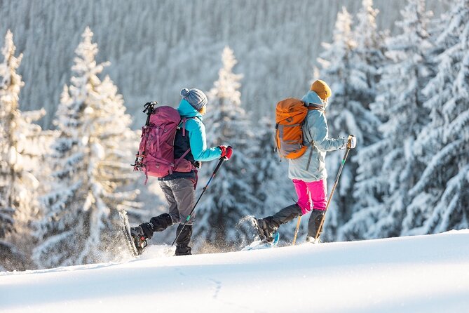 Half-Day Snowshoe Trip from Prague - Key highlights