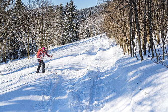 Half-Day Snowshoe Trip from Prague - The two hour climb through snow capped trees and panoramic breaks