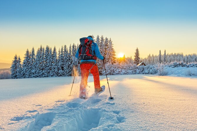 Half-Day Snowshoe Trip from Prague - Night snowshoeing with your headlamp for the last stretch