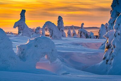 Half-Day Snowshoe Trip from Prague