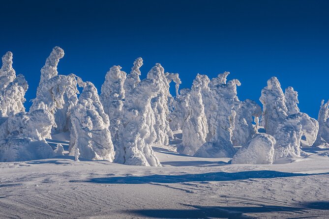Half-Day Snowshoe Trip from Prague - Quick tips to make your snowshoe day smoother