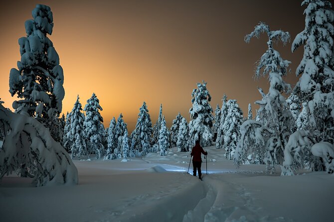 Half-Day Snowshoe Trip from Prague - Should you book this Prague half-day snowshoe trip?