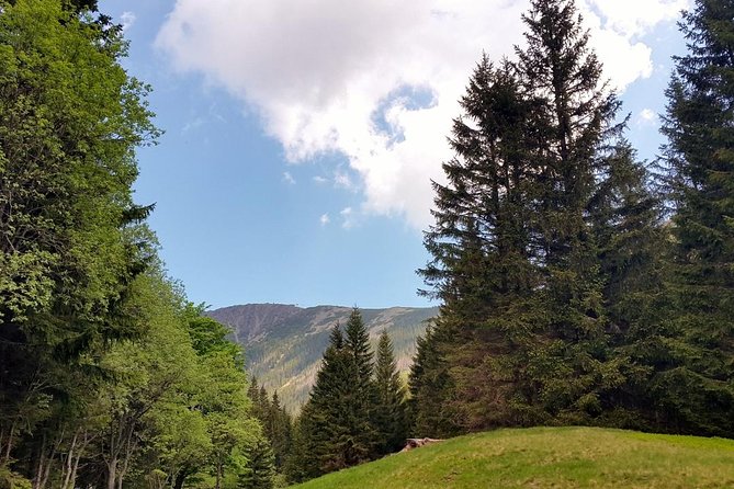 Hiking in Krkonoše: Get ready for a REAL Mountain Adventure! - Mountain Meadows Inn Hotel and the Highest Brewery Stop