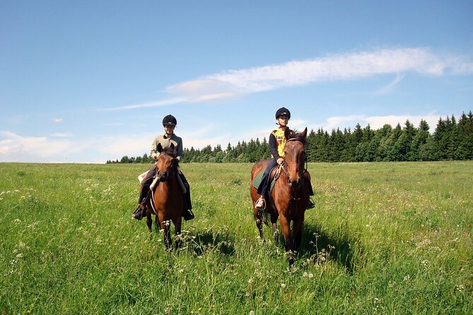 Horseback Riding Tour in Bohemian Switzerland - From Prague Pickup to Bohemian Switzerland: The Morning Start