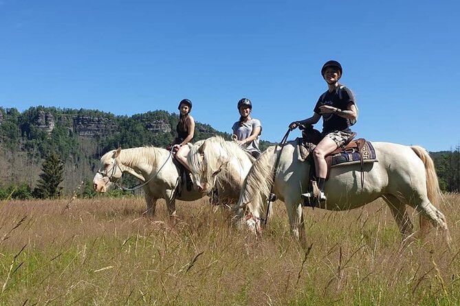 Horseback Riding Tour in Bohemian Switzerland - Tiské stěny Rock Formations: A Short Walk With Big Views