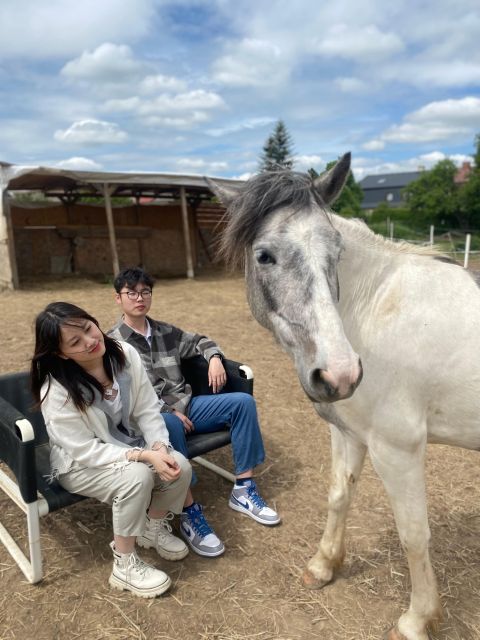 Horseback riding tour near Prague - Key things I’d plan for