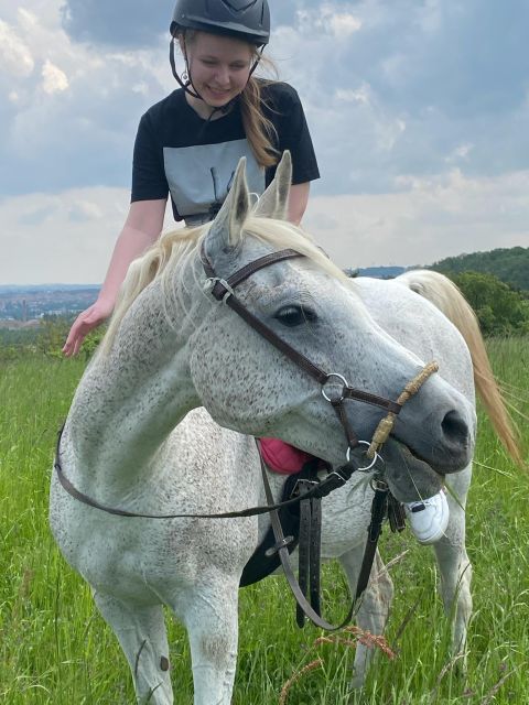 Horseback riding tour near Prague - Meeting the horses: safety briefing first, then real connection time