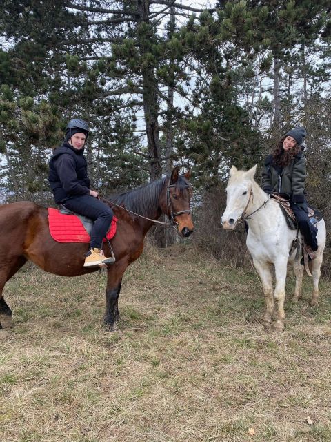 Horseback riding tour near Prague - The walk-only ride: what 75 minutes feels like in practice