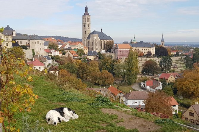 Kutná Hora and Bone church - private tour with PERSONAL PRAGUE GUIDE - Private Pickup and a 6 to 7 Hour Game Plan